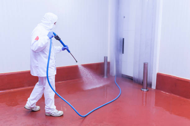 Best Spring Cleaning  in Navarre Beach, FL